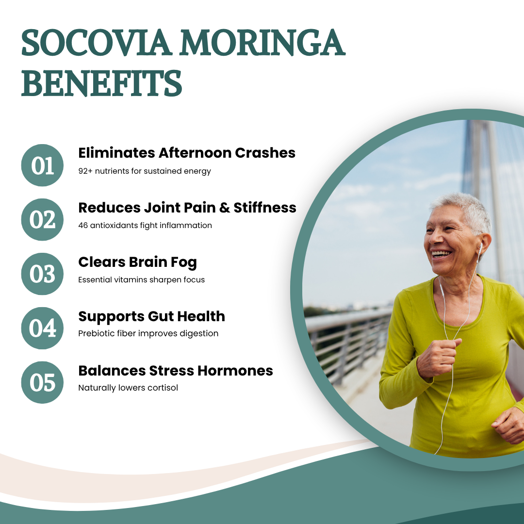 Socovia Moringa Complete – Daily Wellness Support